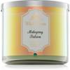 Bath & Body Works Mahogany Balsam lumânare parfumată 411 g I.