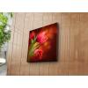 Bonanza Tablou decorativ pe panza, 242BNZ1238, 45 x 45 cm