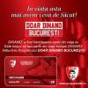 Vouchere Actionar Program Doar Dinamo Bucuresti - 01 aug 2018-31 aug 2020 Miercuri, 1 August 2018