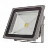 Skyglory Proiector 50W LED WW SK