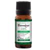 Santo Raphael Ulei esential de busuioc 10ml
