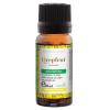 Santo Raphael Ulei esential de grepfrut 10ml