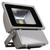 Skyglory Proiector 70W LED CDL SK