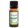 Santo Raphael Ulei esential de Rozmarin 10ml