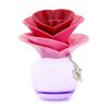 Justin Bieber Someday Apa De Parfum Spray 50ml/1.7oz