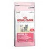 Royal Canin Kitten 36 10kg