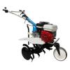 AGT Motosapa 5580 HD 5.5 CP