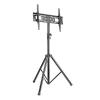 Blackmount Stand TV podea FS08-46T , 37