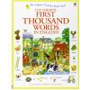 Usborne First Thousand Words in English