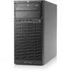 HP ProLiant ML110-G7 (470065-677)