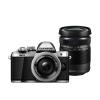 Olympus E-M10 Mark II + EZ-M1442 IIR + EZ-M4015 R silver