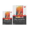 Daco Bloc acuarela 300g 12 file A3