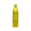 Alfaparf Rigen Shampoo - sampon ptr par normal si uscat 500 ml