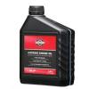Briggs & Stratton 100006E