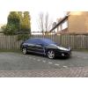 Carpoint Husa parbriz impotriva inghetului L Sedan 266x160x33cm