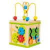 Bino Cub de Dexteritate 5 in 1
