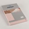 Canson 2267 Hartie corespondenta Parchemin A4, 100 coli/cutie, 90 g/mp, ivoire