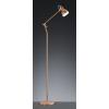 TRIO Floor lamp 400500109