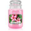 Country Candle Blooming Plumeria lumânare parfumată 652 g