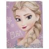 Character World Patura Disney Frozen Panel