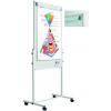 SMIT Flipchart magnetic, 120 x 75 cm, cu rotile, Combi