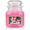 Country Candle Blooming Plumeria lumânare parfumată 453 g