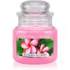 Country Candle Blooming Plumeria lumânare parfumată 104 g