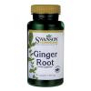 Swanson Ginger Root 540 mg 100 caps