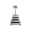 SWS International Cantar platforma 80x80 cm 150,300 kg Flux 1 T, DSP1