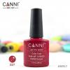 CANNI Oja SOAK OFF 027