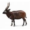 Collecta Antilopa Bongo XL