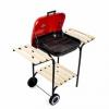 Grillchef Gratar carbuni 0518