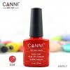 CANNI Oja SOAK OFF 034