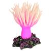 Trixie Sea Anemone (8889)