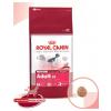 Royal Canin Medium Adult 10Kg