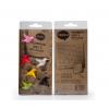 Qualy Set 6 magneti Humming Bird Pastel