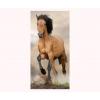 Sweet Home Sweet Horse 70x140 cm