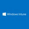 Microsoft Intune™ Extra Storage - Abonament anual (un an)