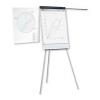 SMART Flipchart whiteboard magnetic cu brate 100 x 70cm