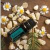 doTERRA Ulei esential echilibrare emotionala Balance 60204667