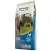 Bewi Cat Junior 12.5 kg