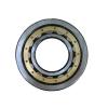 Autospeed Rulment NJ 211 punte sp reductor 212 - - 11174