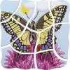 Beleduc Puzzle stratificat Fluturele