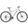 CrossBike GRX 8 29
