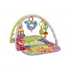 Fisher Price Woodland Friends 3-in-1 Musical Activity Gym