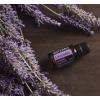 doTERRA Ulei esential lavanda 60204657
