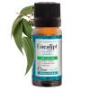 Santo Raphael Ulei esential de eucalipt 10ml