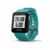 Garmin Forerunner 30 slate, turcoaz