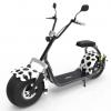 ZTE Moped electric RoBaRo
