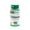 Secom Echinaceea 460 mg, 100 cps